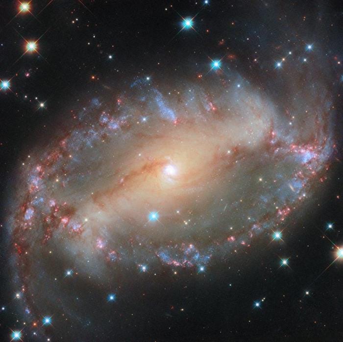 Spiral-Galaxy-NGC-2566-777x775-1.jpg