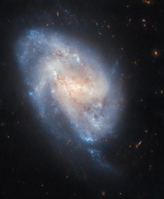 Galassia a spirale NGC 337