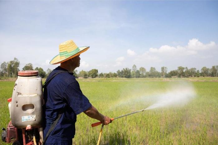 Spruzzare fertilizzante