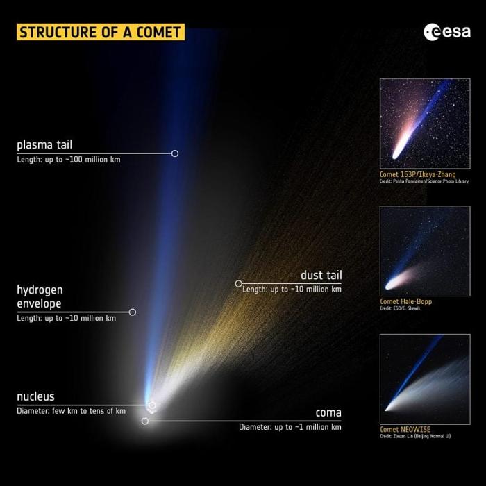 Struttura della cometa