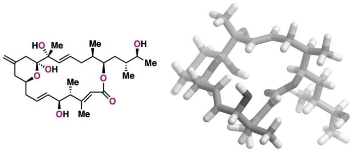 Struttura di Iriomoteolide 1a