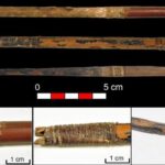 L’arte segreta del tiro con l’arco nel Neolitico: scoperte straordinarie nella Caverna dei Murciélagos