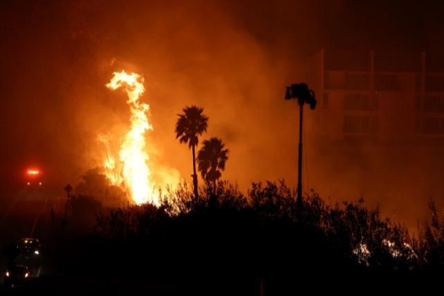 Un incendio con palme sullo sfondo