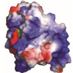 Scoperta rivoluzionaria: proteina YTHDF2 e terapia contro il cancro