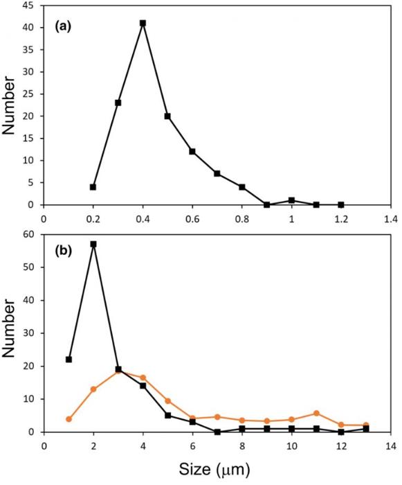 grafico della distribuzione delle dimensioni dei batteri