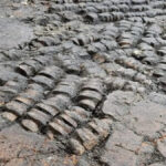 Trovato antico e misterioso pavimento fatto di ossa durante la ristrutturazione di un edificio