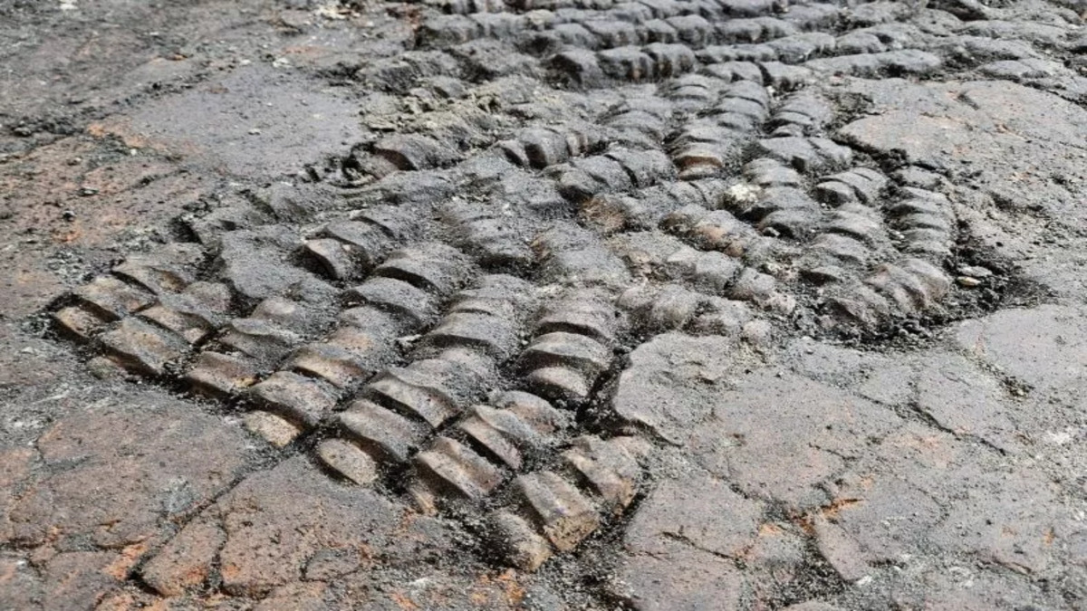 bone-floor-netherlands-1.jpg