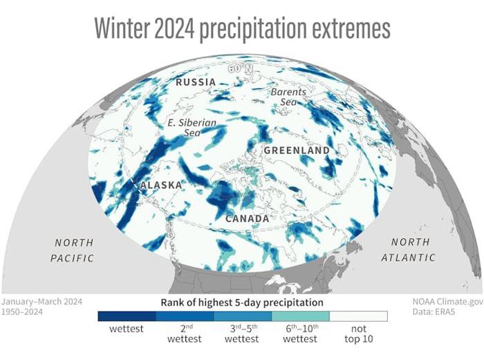 Una mappa mostra che diverse regioni dell'Artico hanno avuto le precipitazioni più alte mai registrate, o vicine al record, nell'inverno 2024.