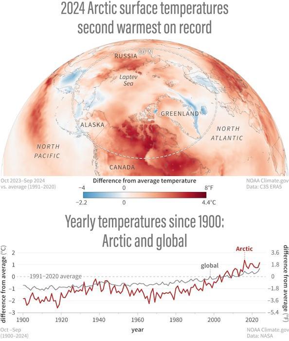 Una mappa mostra le temperature artiche nel 2024 confrontate con la media a lungo termine. Un grafico mostra che la temperatura media della regione sta aumentando più rapidamente rispetto alla media globale dal 1960.