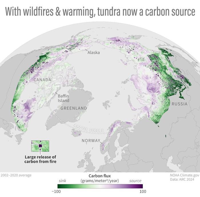 Una mappa mostra dove la terra artica rilascia più carbonio di quanto ne assorba, guardando alla media del 2002-2020.