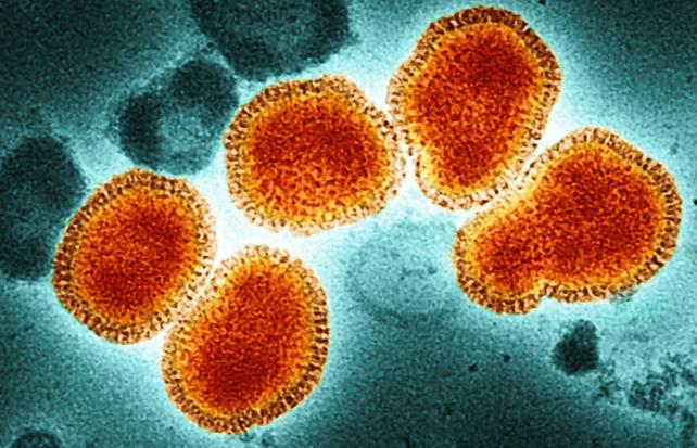 particelle del virus dell'influenza A sotto un microscopio