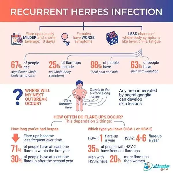 Infografica sull'herpes genitale