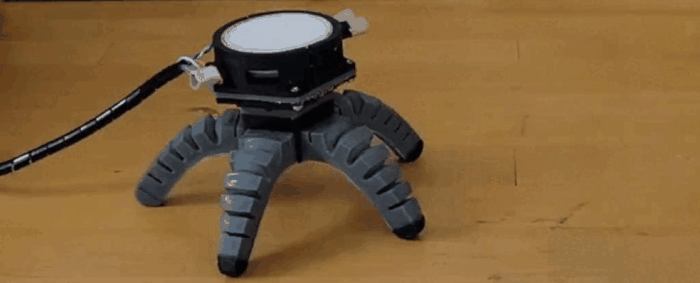 mushroom_driven_robot-1.gif