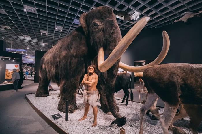 Cacciatore neanderthaliano e mammut lanoso