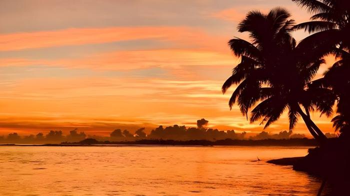 Un tramonto primaverile arancione sulla costa del Pacifico con palma tropicale