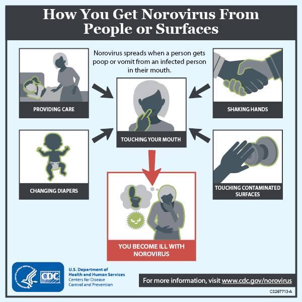 Diffusione del norovirus