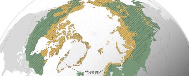 ArcticCircle-642x260-1-1.jpg