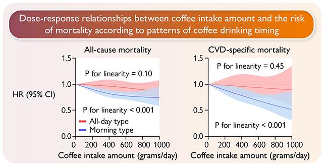 Tenere il tuo consumo di caffè al mattino potrebbe essere meglio per il tuo cuore