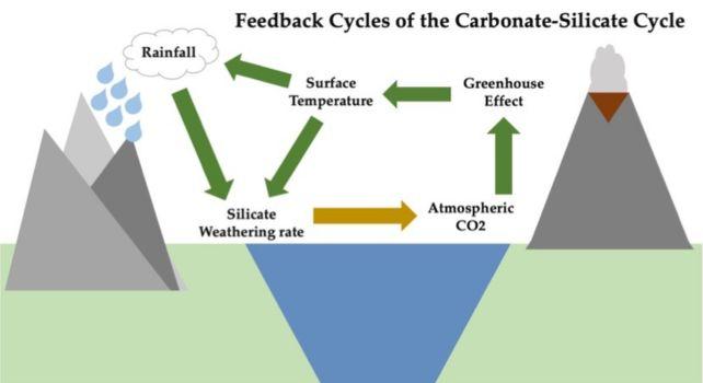 retroazioni per il ciclo carbonato silicato