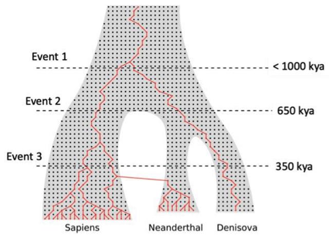 Analisi genetica