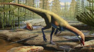 Il fossile di dinosauro nordamericano più antico scoperto, risale a 230 milioni di anni