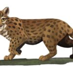 La scoperta del gatto leopardo più piccolo mai conosciuto