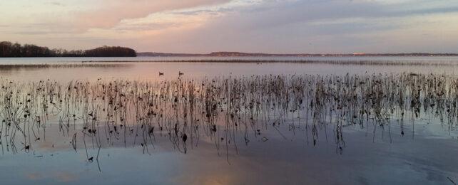 LakeMendota-642x260-1-1.jpg