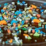 Microplastici: Minaccia Invisibile per la Salute Umana