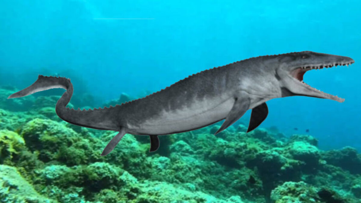 Mosasauro-mosasaurus-dinosauro-marino-768x480-1.jpg