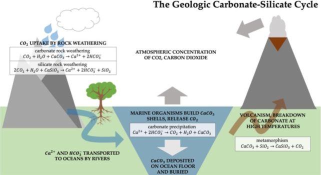 Diagramma che mostra il ciclo geologico del carbonato di silicato