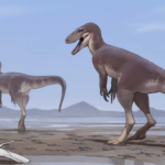 La straordinaria scoperta delle impronte di dinosauri a Gansu