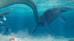 Fossile sospetto: specie di mostro marino di 72 milioni di anni potrebbe essere falso, afferma lo studio