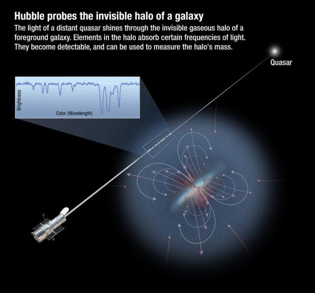 Il Carbonio nei Nostri Corpi Ha Intrapreso un Viaggio Intergalattico