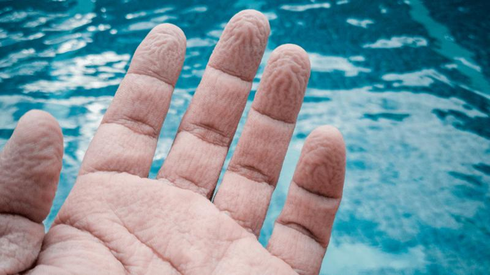 una mano con dita raggrinzite come se fosse stata in piscina ad inumidirsi