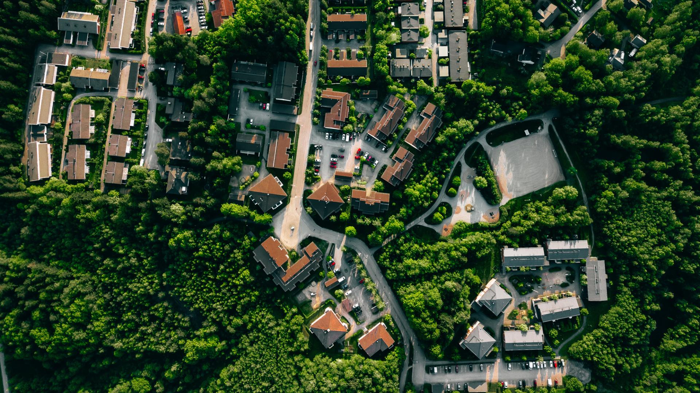 Il futuro delle foreste urbane: lo strumento AI simula la crescita e il comportamento degli alberi