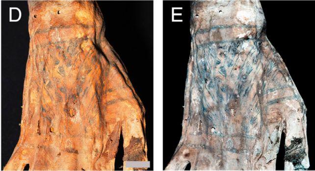 Tatuaggi mozzafiato rivelati sulla pelle di mummie peruviane di 1.200 anni fa