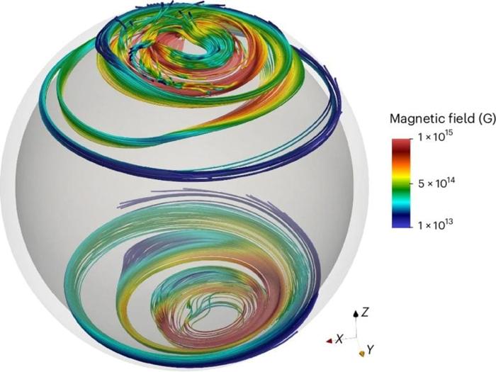 Linee del Campo Magnetico all'Interno della Crosta di NS