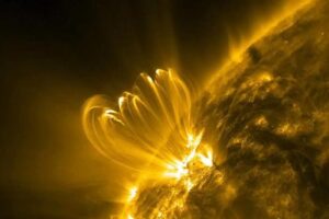 Osservatorio della Dinamica Solare della NASA Coronal Loops