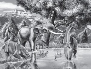 Un'illustrazione in bianco e nero di alcune delle megafaune del Sud America vicino a una pozza d'acqua. L'immagine mostra un gigantesco bradipo e un elefante vicino al bordo dell'acqua mentre un Palaeolama cammina attraverso l'acqua alta fino alla caviglia. Sullo sfondo, un animale simile a un leopardo osserva gli altri mentre è seduto su un albero.